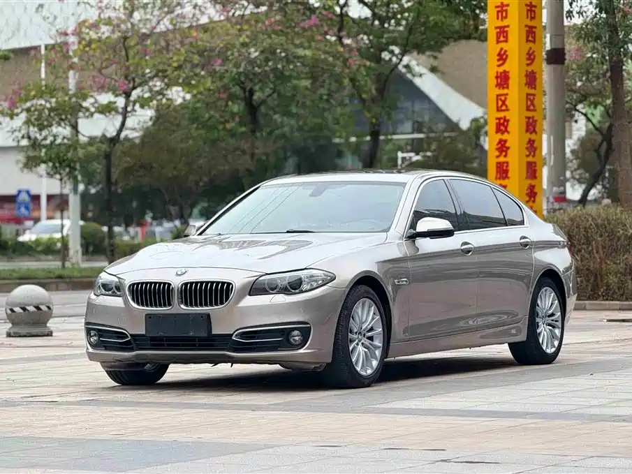 BMW 5 Series 2014 525Li Luxury Design Package