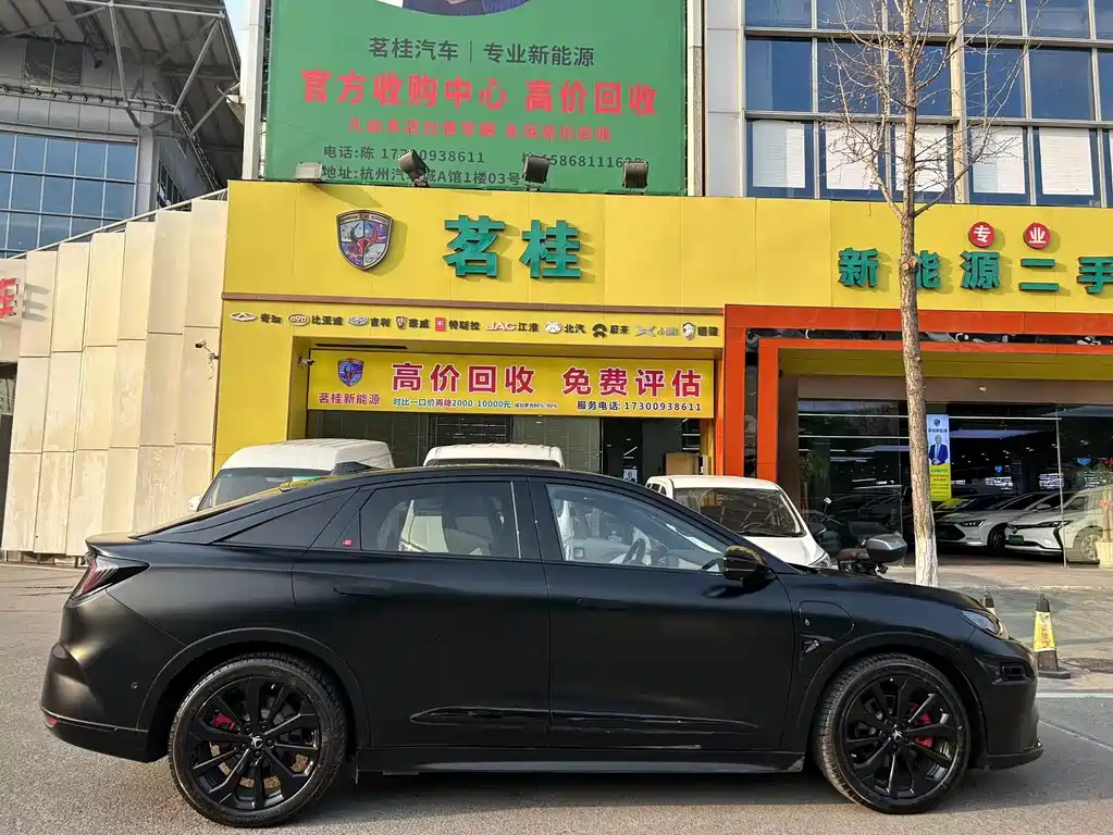 ARCFOX EXTREME FOX POLAR FOX ALPHA S