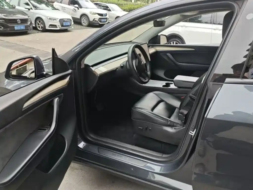 Tesla Model Y — миниатюра 4