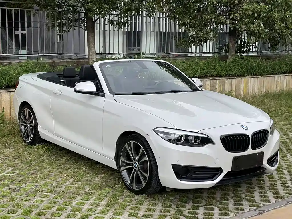 BMW 2 SERIES