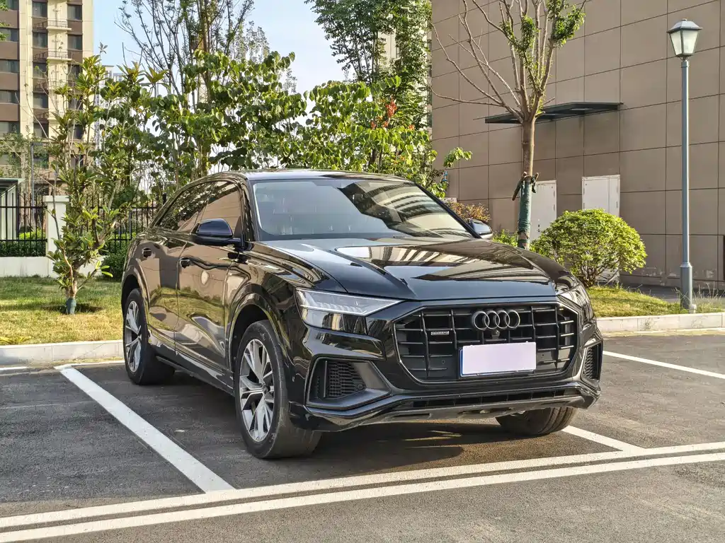 Audi Q8 2022 55 TFSI Luxury
