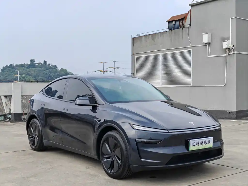 Tesla Model Y — миниатюра 3