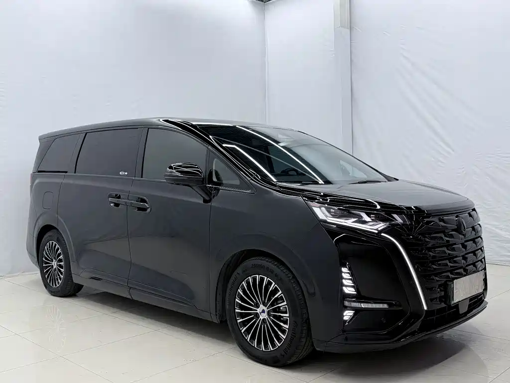 Denza Denza D9 — миниатюра 3