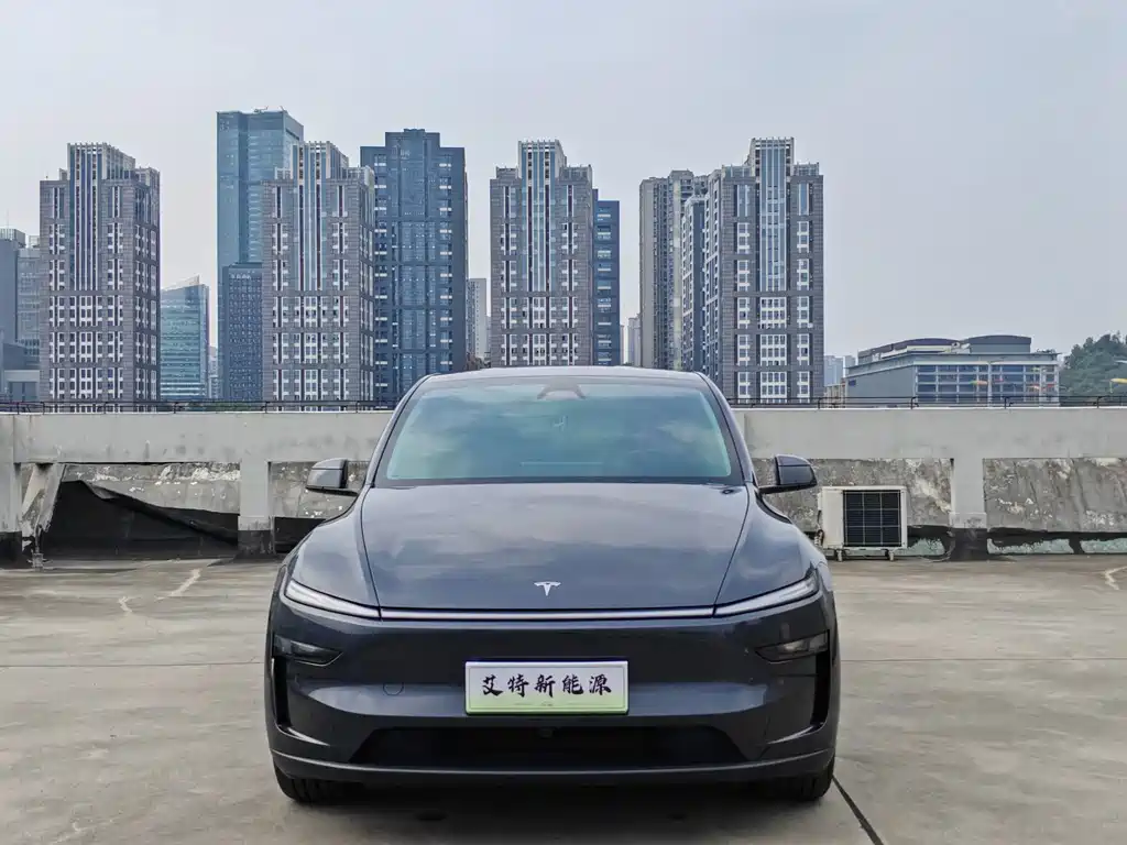 Tesla Model Y — миниатюра 2