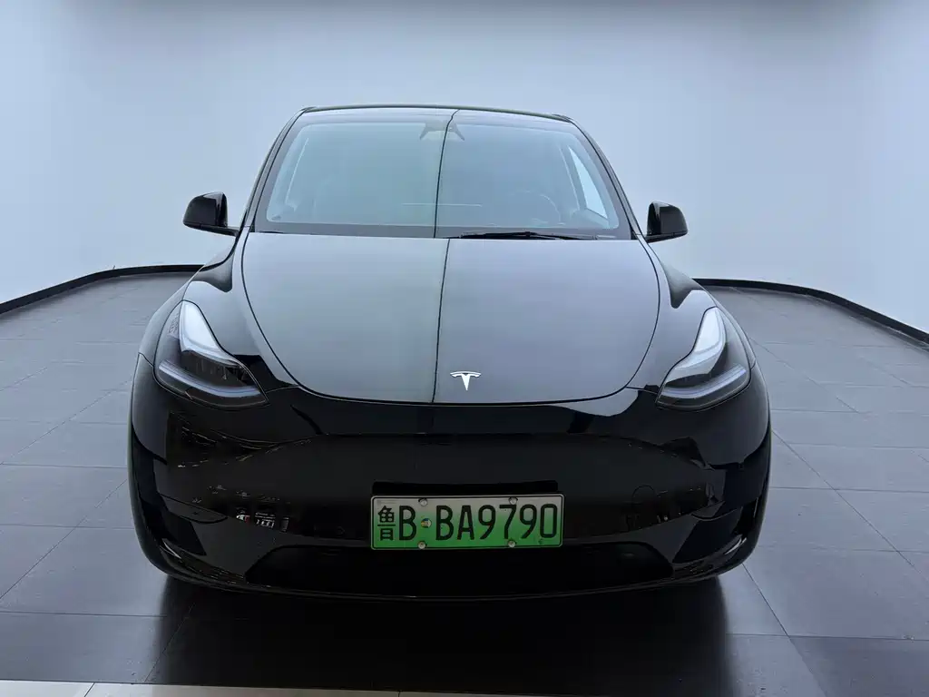 Tesla Model Y — миниатюра 5