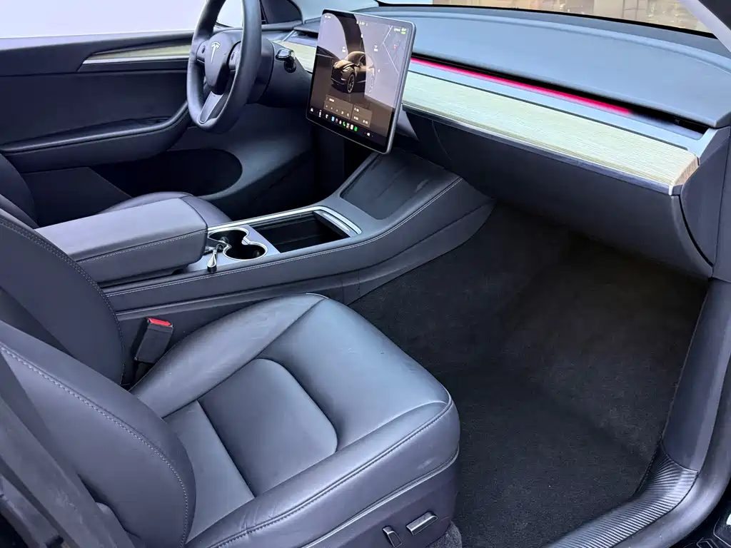 Tesla Model Y — миниатюра 11