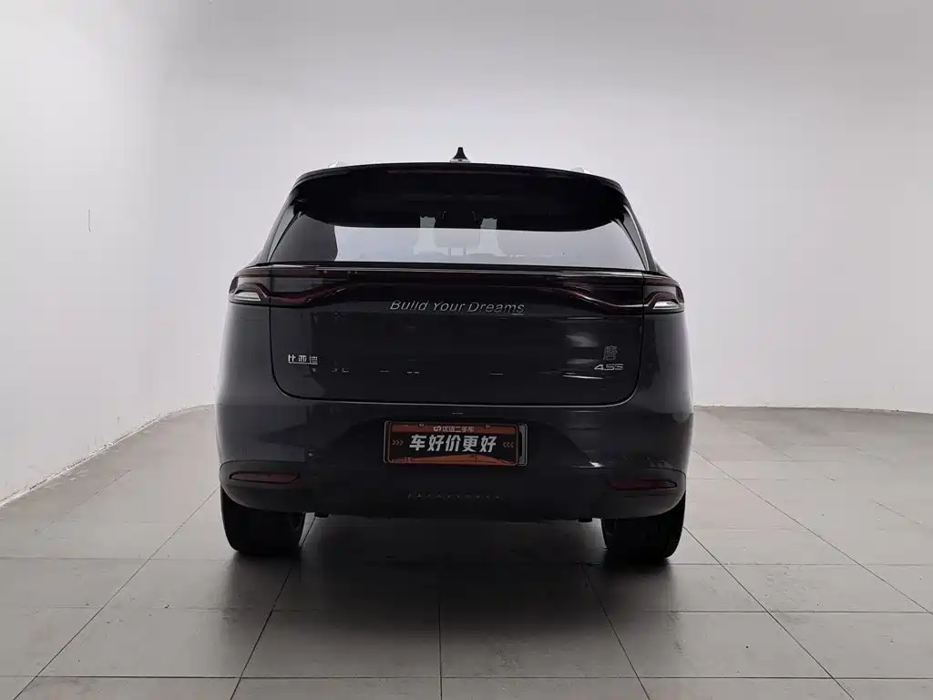 BYD Tang New Energy — миниатюра 4