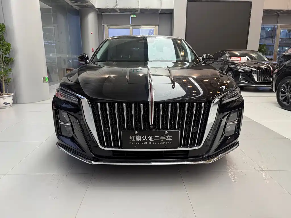 Hongqi H5 2024 2.0T AT