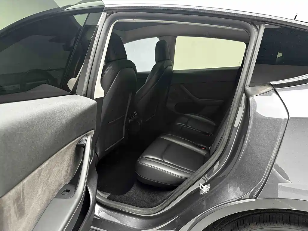 Tesla Model Y — миниатюра 10