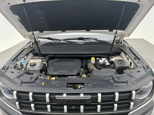 Haval Cool Dog — миниатюра 15