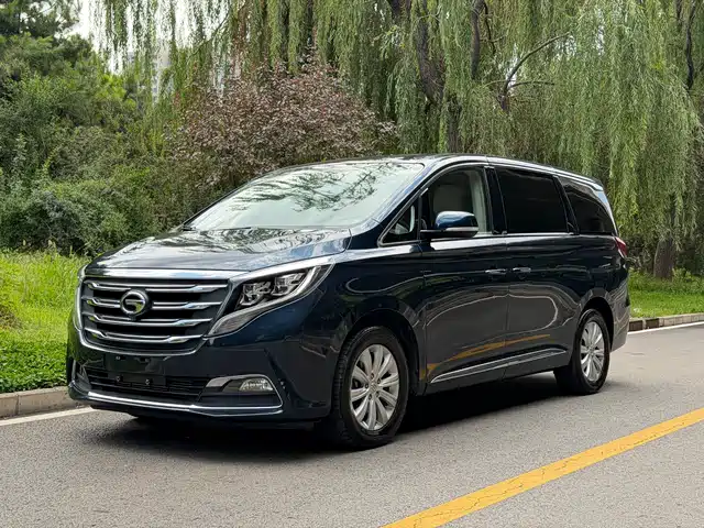2018 GAC Trumpchi M8