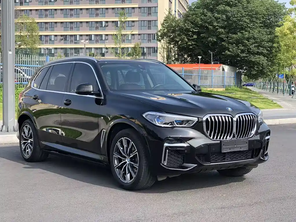 BMW X5 2022 xDrive 30Li Premium M Sport