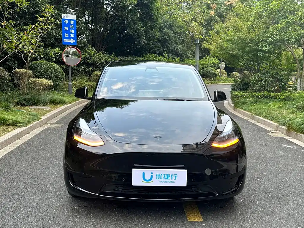 Tesla Model Y — миниатюра 2
