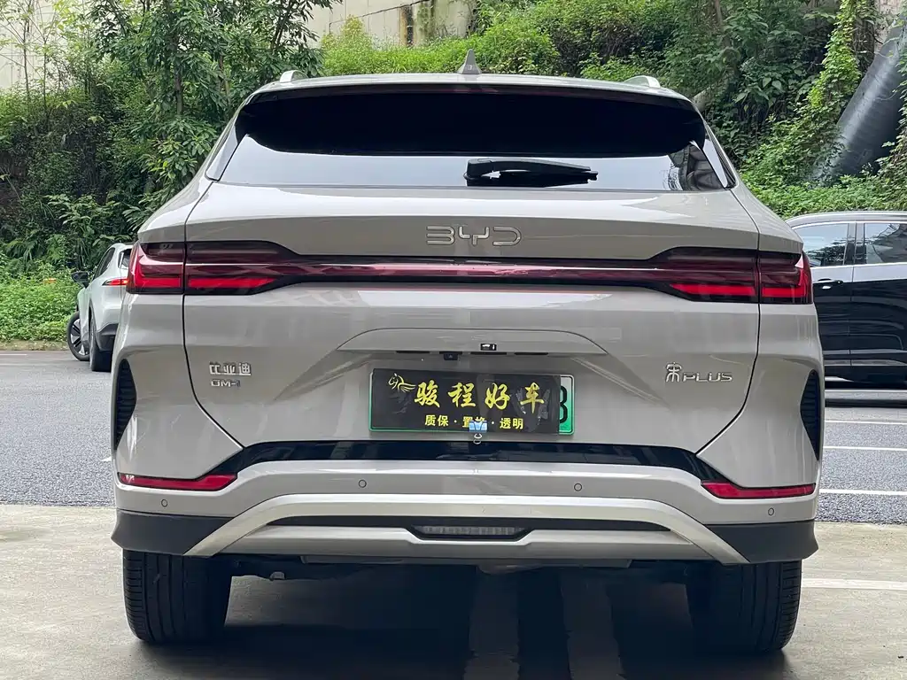BYD PLUS New Energy - фото 6