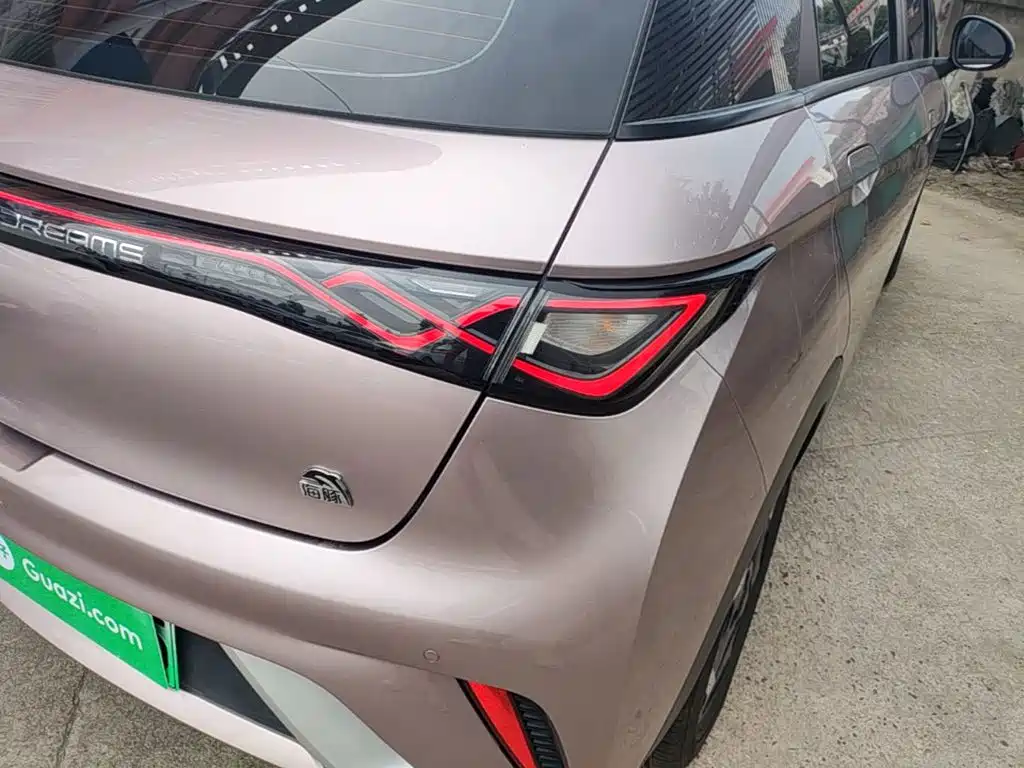 BYD Dolphin 2021 405km Fashion