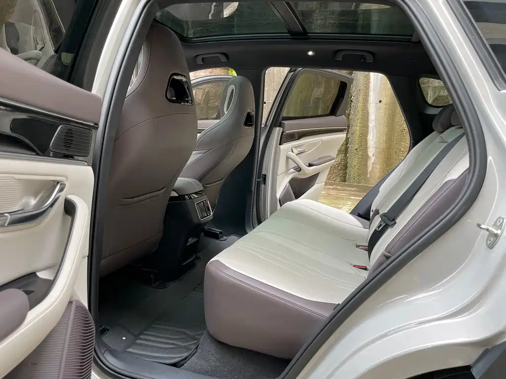 BYD PLUS New Energy - фото 11