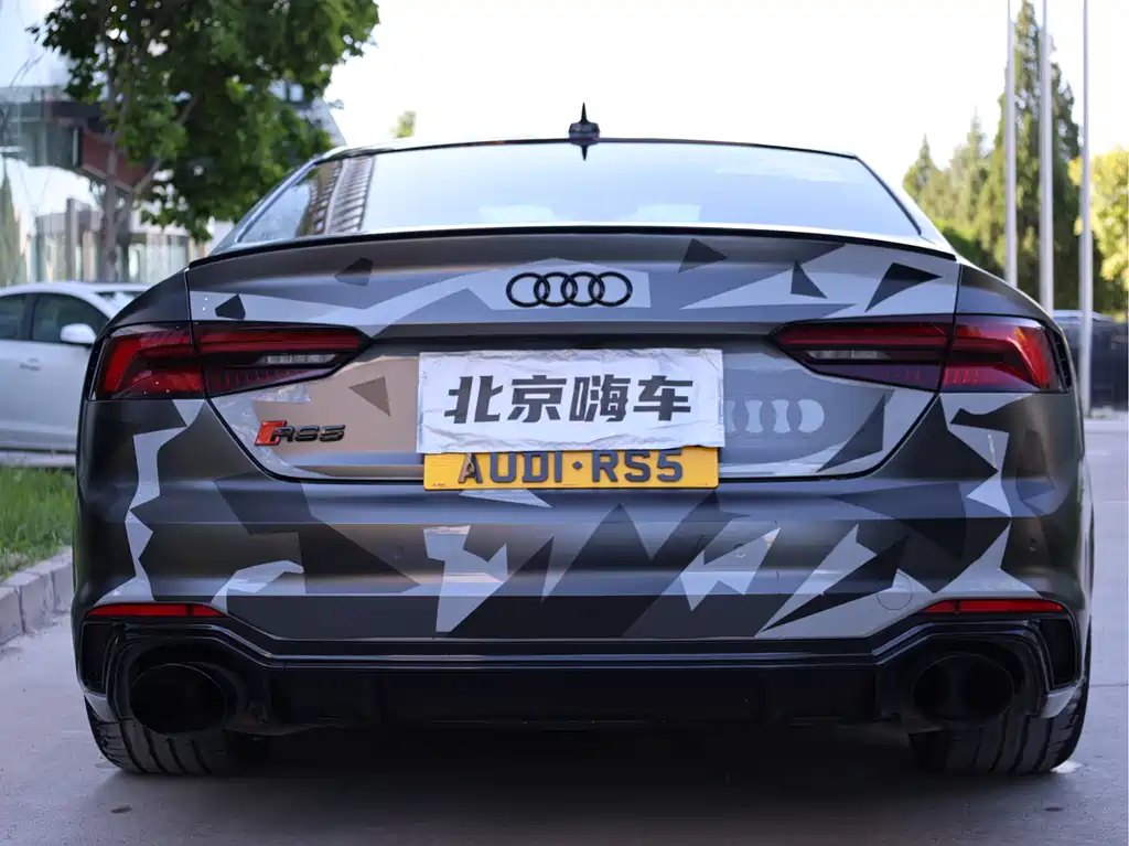 Audi RS 5 2019 RS 5 2.9T Coupe