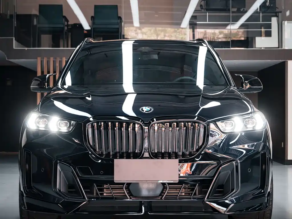 BMW X5 — миниатюра 2