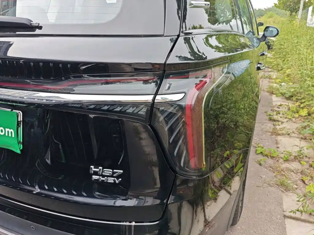 Hongqi Hongqi HS7 PHEV — миниатюра 8