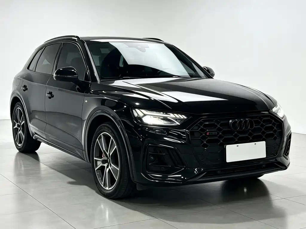 Audi SQ5 — миниатюра 2