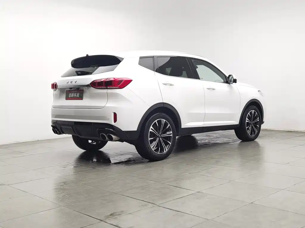 Wey Wey VV6 — миниатюра 2
