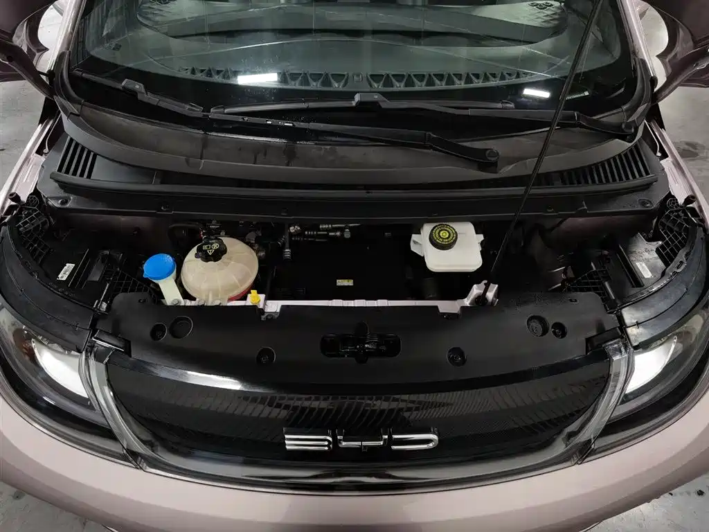 BYD Dolphin 2021 405km Fashion