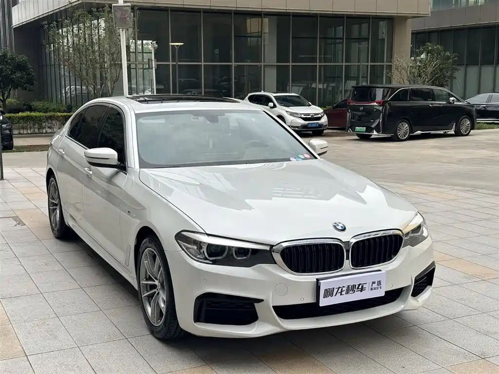 BMW 5 Series 5 2020 525Li M Sport