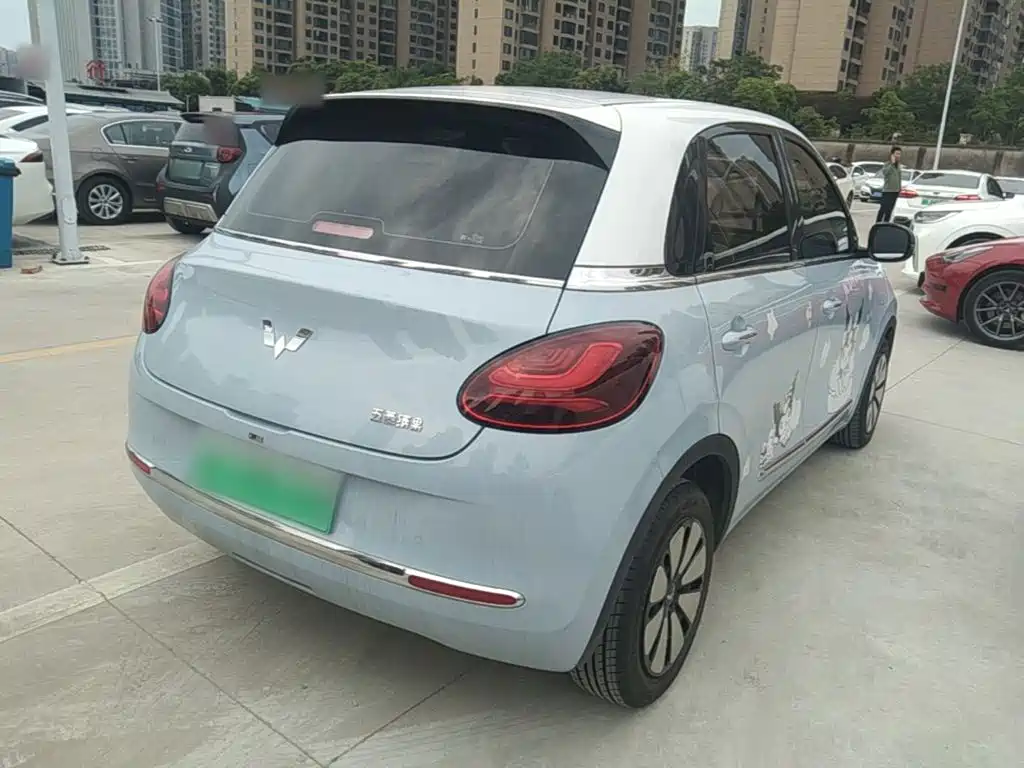 Wuling Binguo 2023 333km +