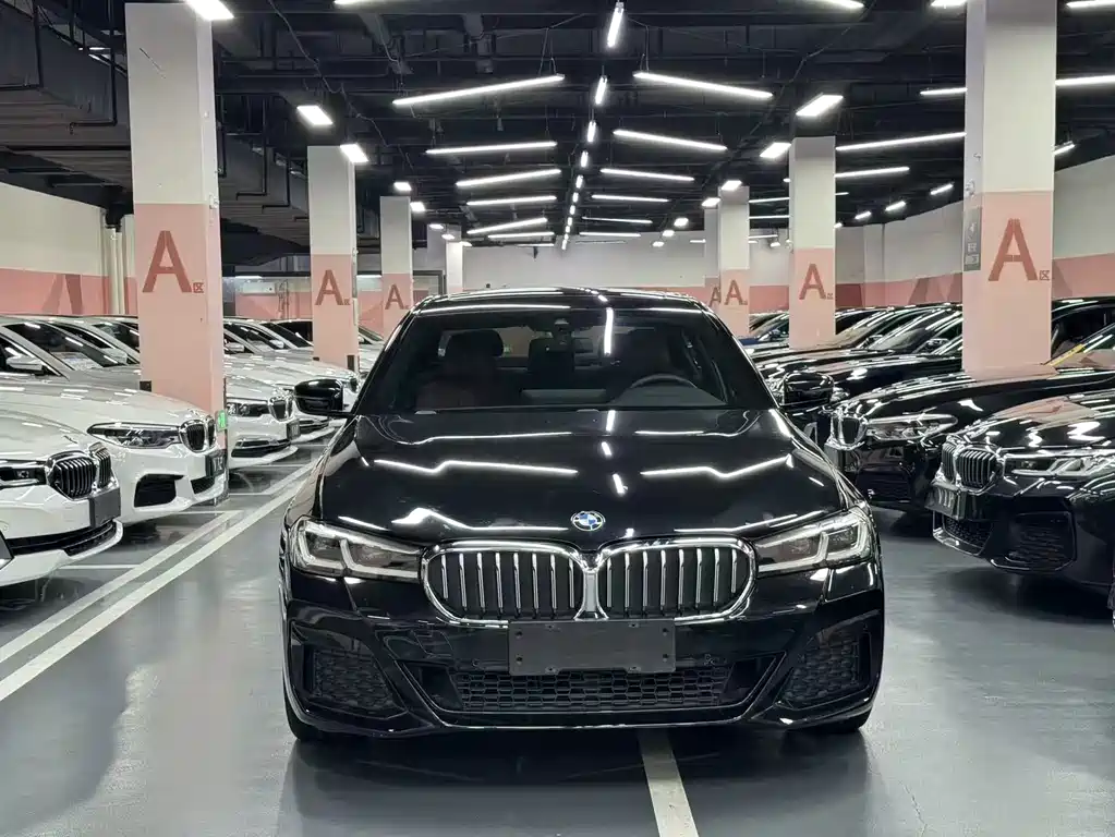 BMW 5 Series — миниатюра 2