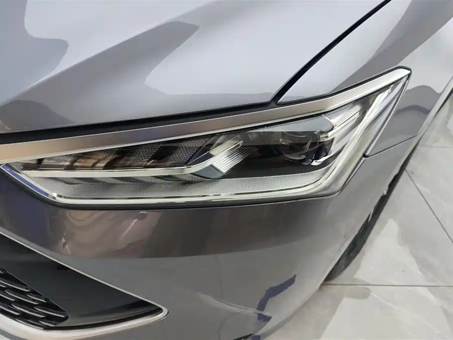 BYD Qin Plus PLUS 2024 DM-i 55KM Lead