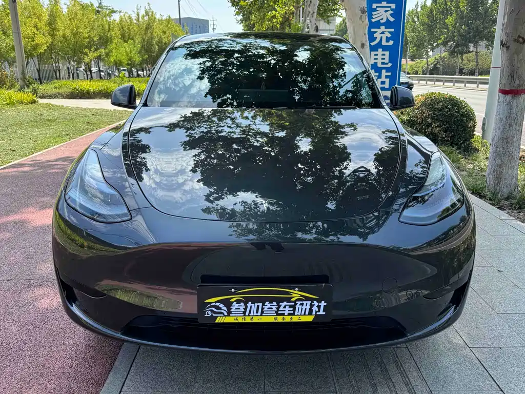 Tesla Model Y — миниатюра 2
