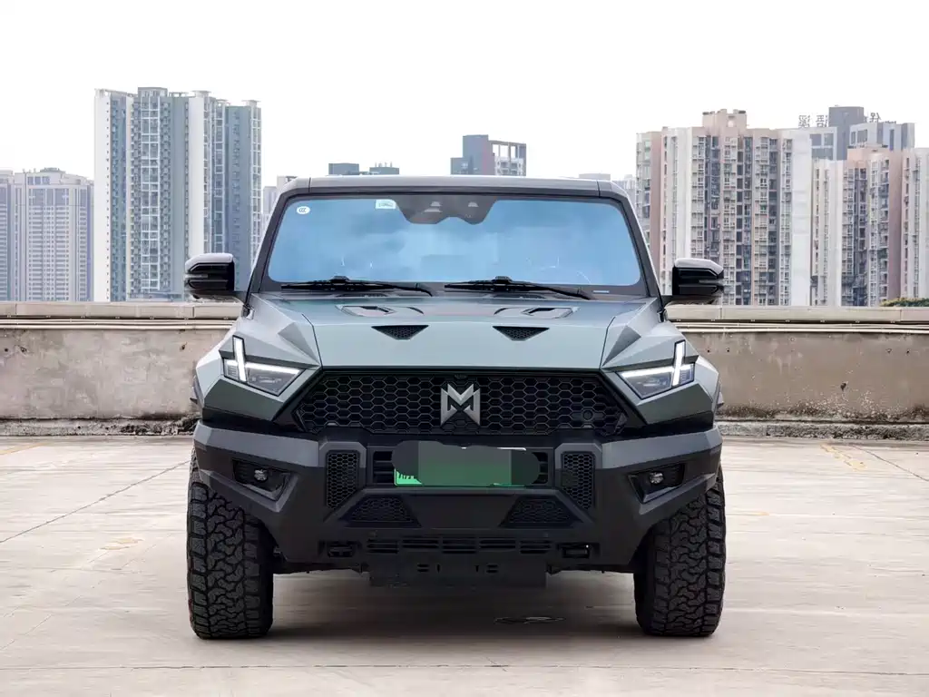 Mengshi Mengshi 917 — миниатюра 2