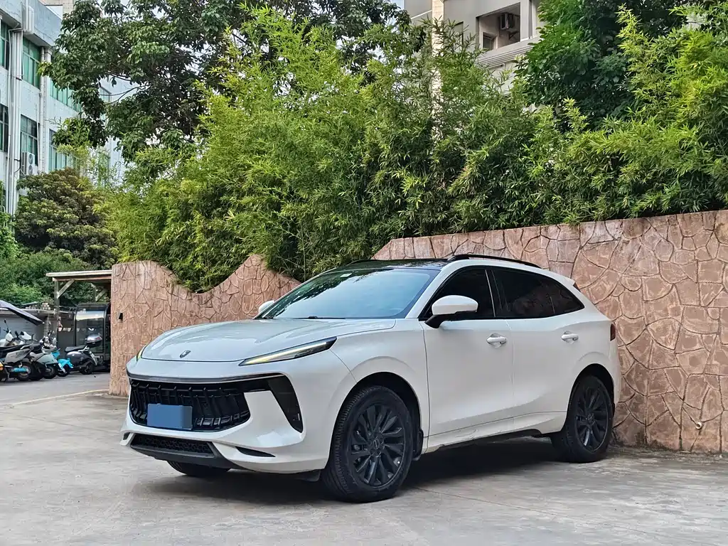 Dongfeng Fengxing T5 EVO 2021 1.5TD DCT Diamond Edition
