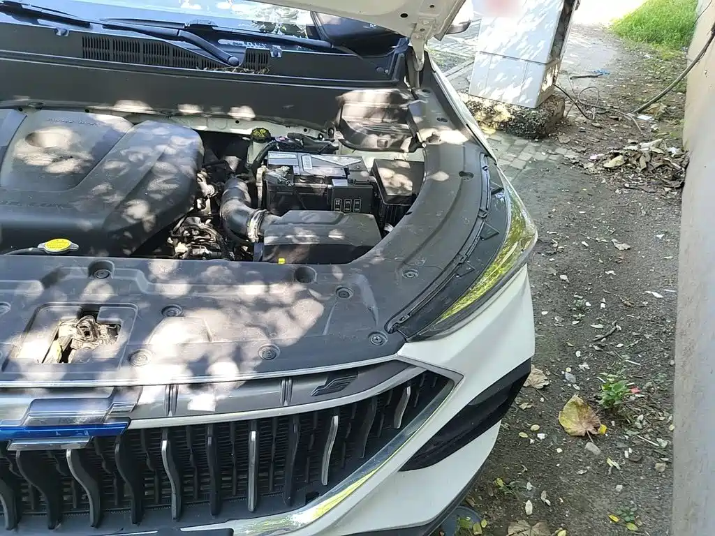 Oshan Oushang X5 — миниатюра 20