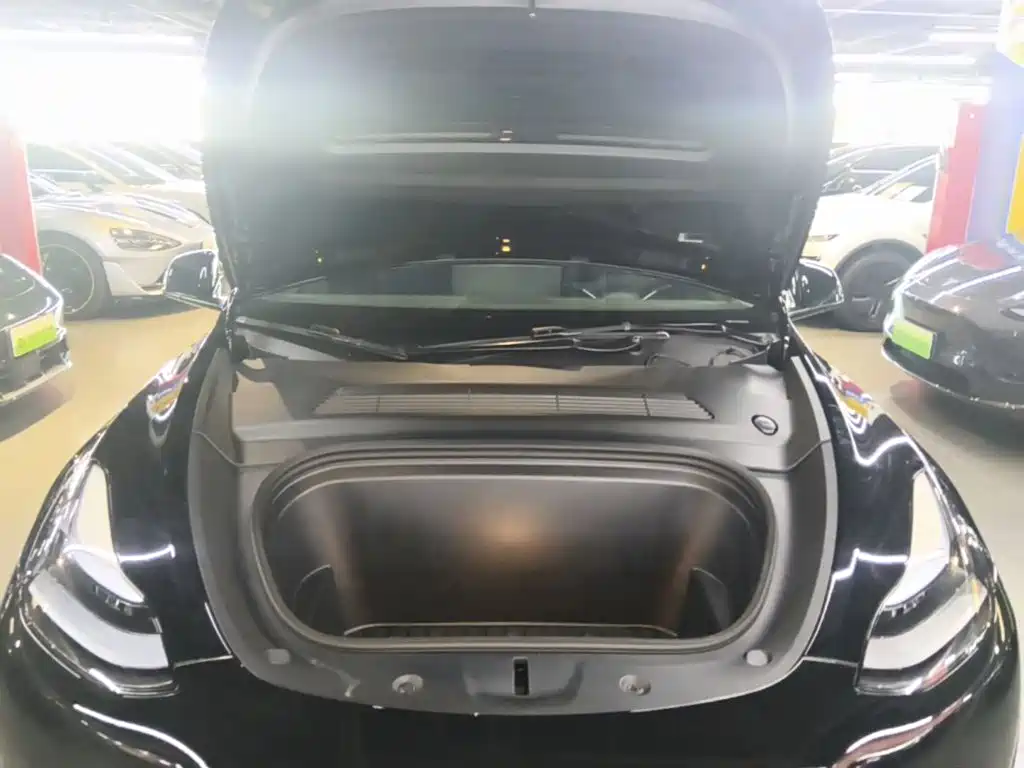 Tesla Model Y — миниатюра 20