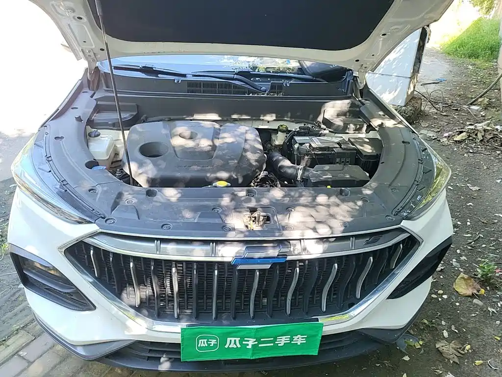 Oshan Oushang X5 — миниатюра 11