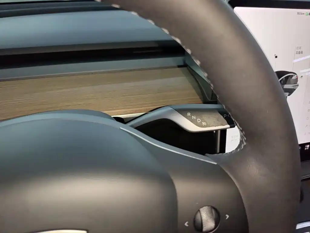Tesla Model 3 — миниатюра 14