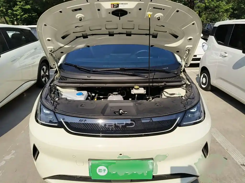 BYD Dolphin — миниатюра 20