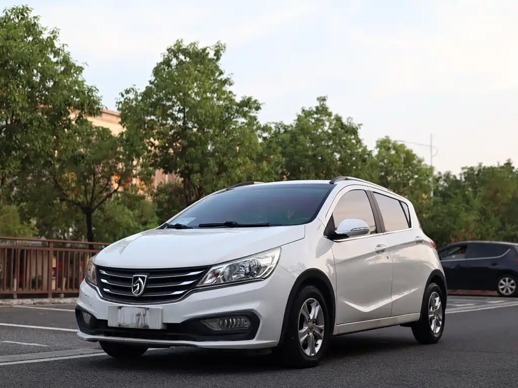 Baojun 310
