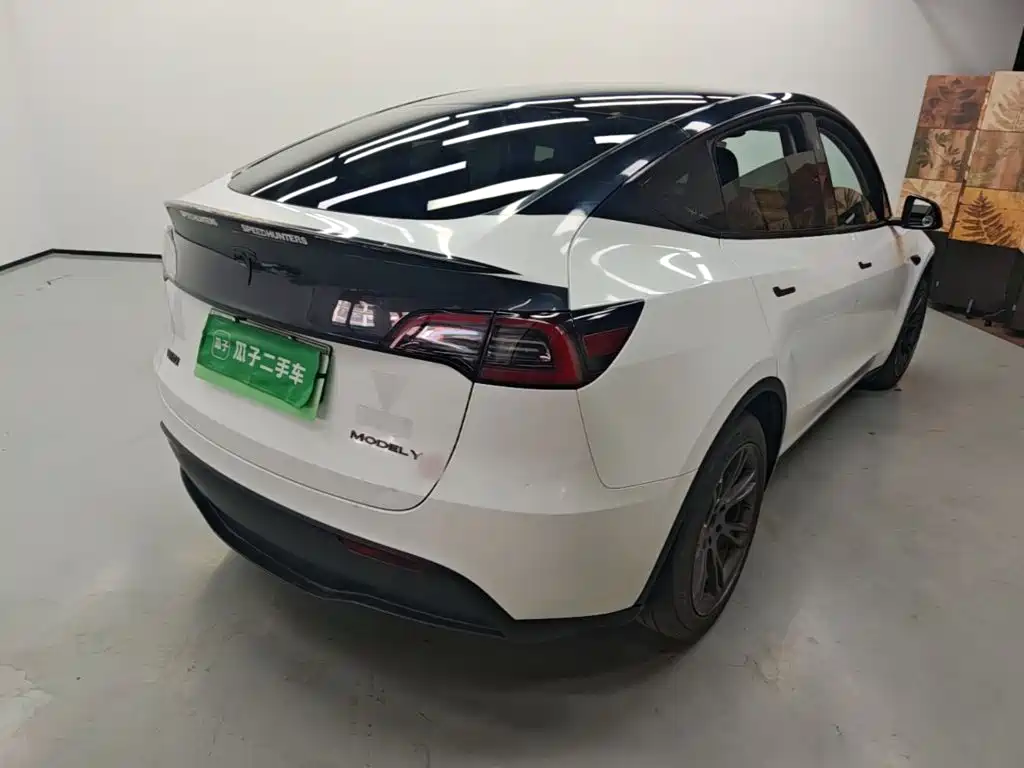 Tesla Model Y — миниатюра 7