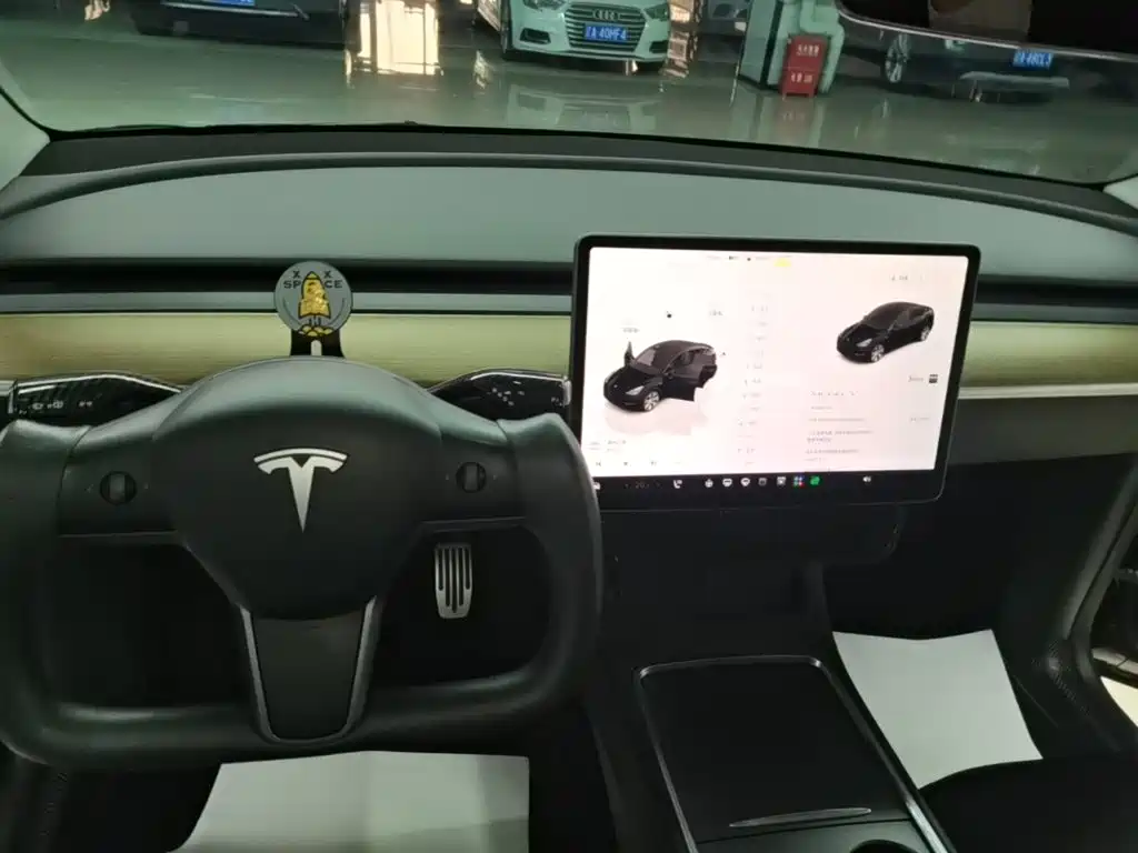 Tesla Model Y — миниатюра 14