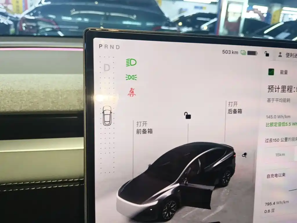 Tesla Model Y L — миниатюра 14