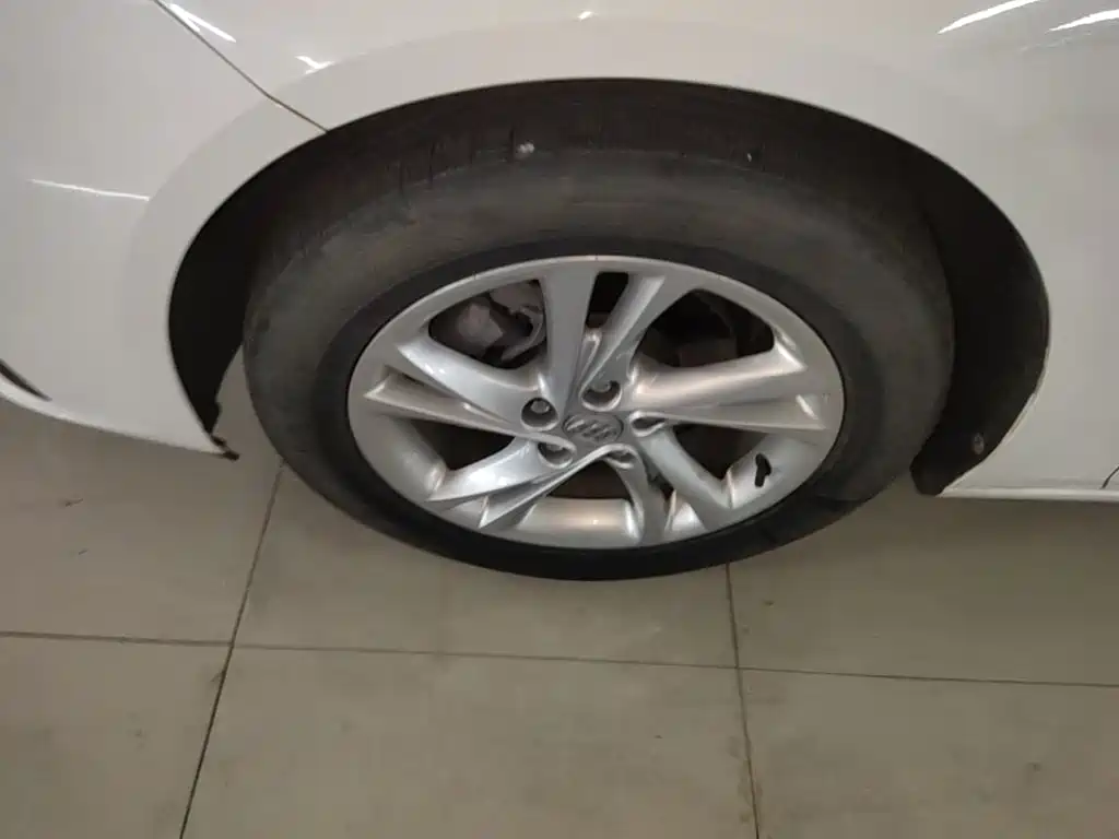 Buick Regal — миниатюра 23