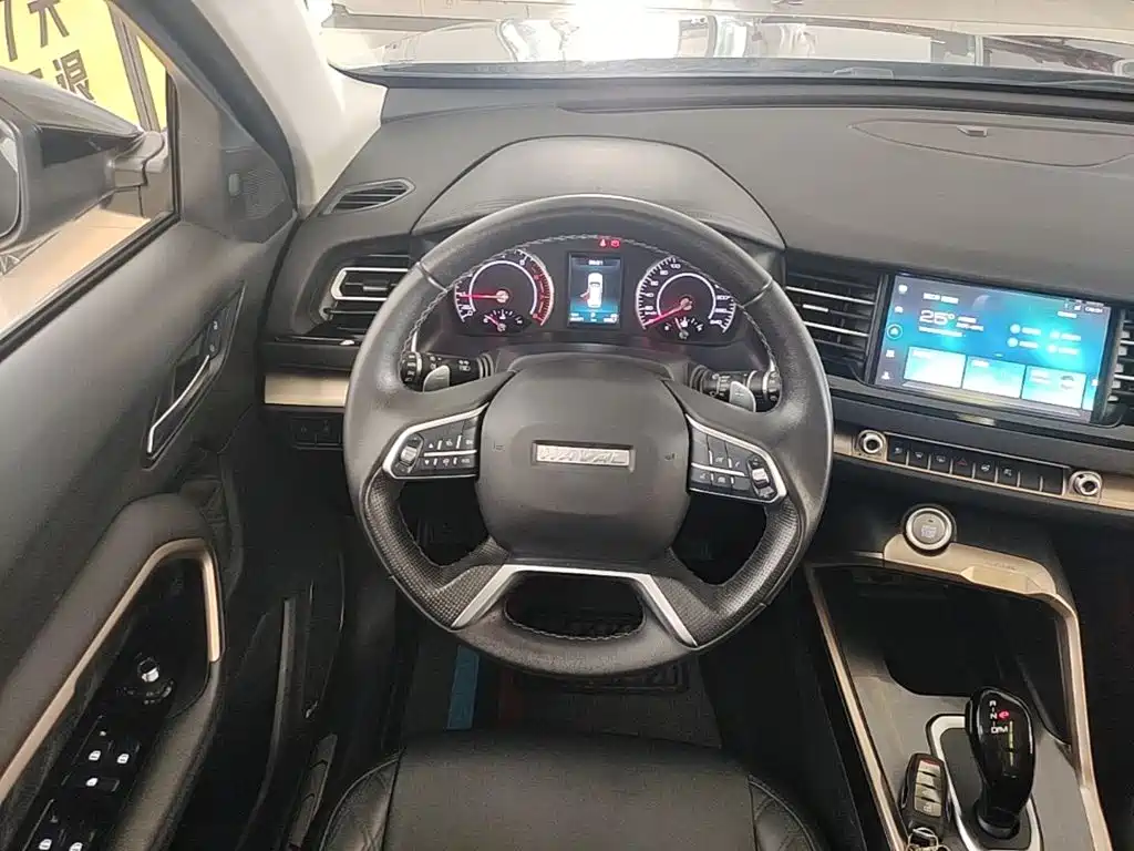 Haval H6 — миниатюра 11