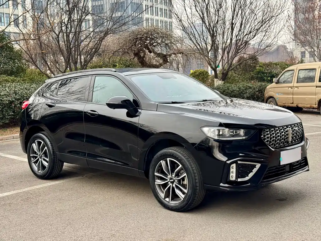 WEI PAI WEI BRAND VV5