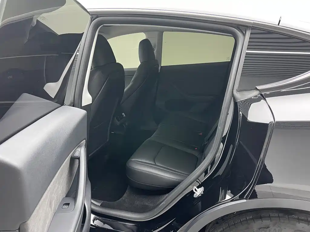 Tesla Model Y — миниатюра 17