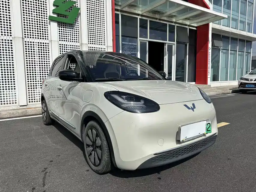 Wuling Bingo — миниатюра 22