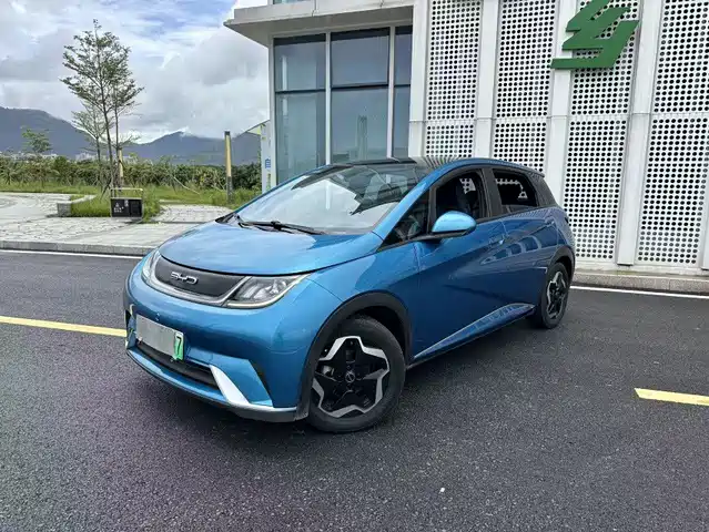 BYD Dolphin