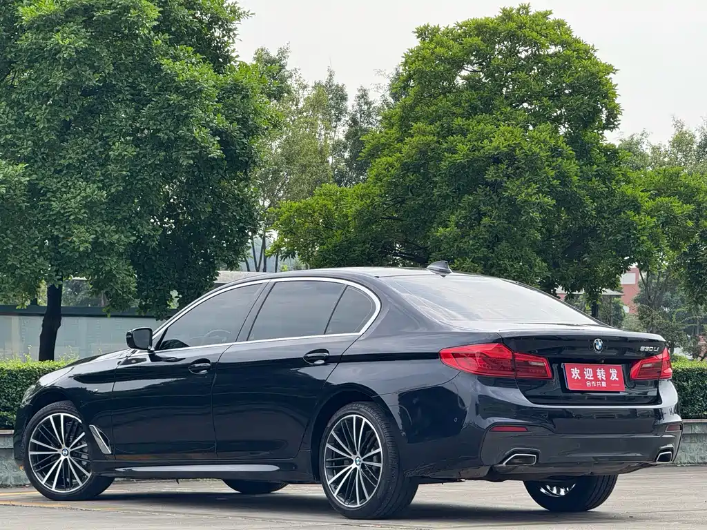 BMW 5 Series — миниатюра 6