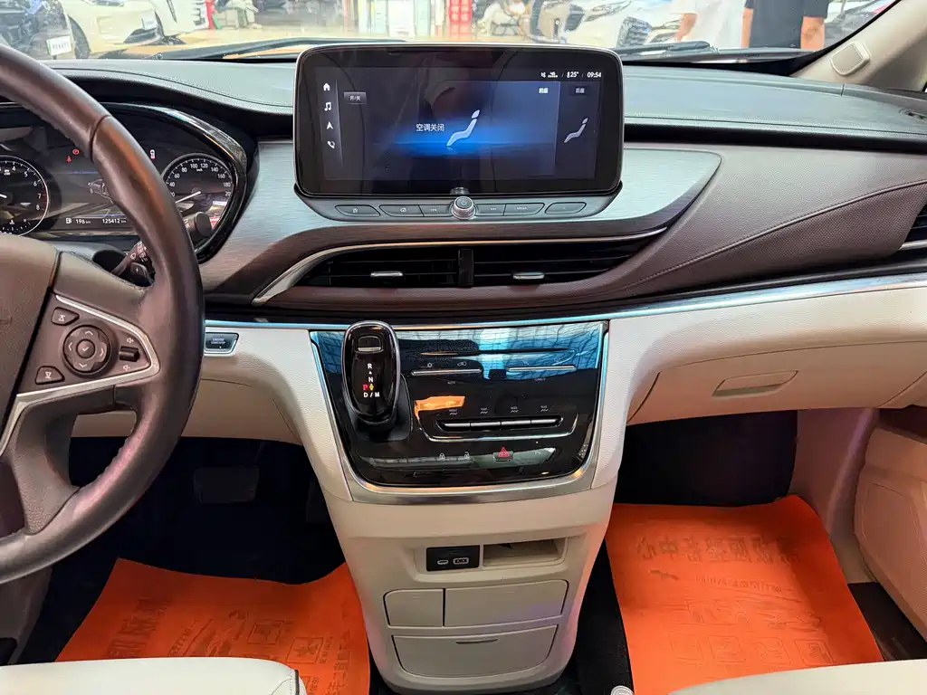 Buick GL8 — миниатюра 11